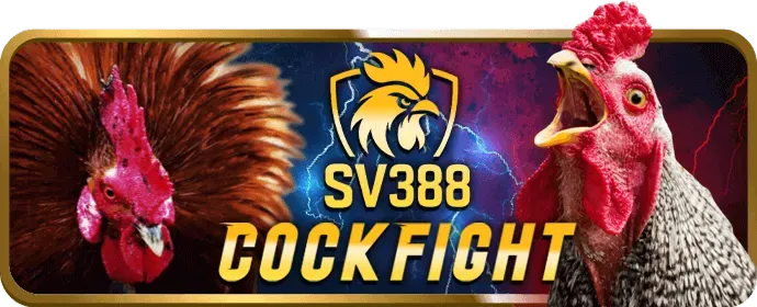 Tính năng bảo mật và an toàn dữ liệu của vf88 win